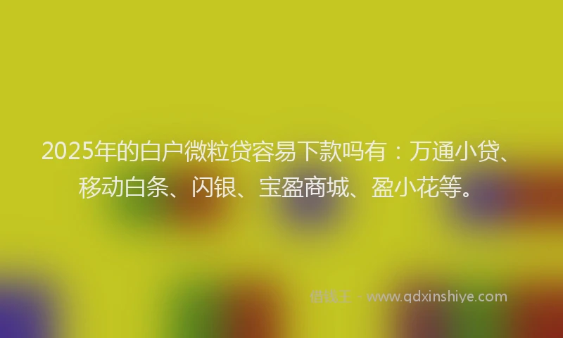 2025年的白户微粒贷容易下款吗有：万通小贷、移动白条、闪银、宝盈商城、盈小花等。