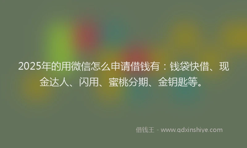 2025年的用微信怎么申请借钱有：钱袋快借、现金达人、闪用、蜜桃分期、金钥匙等。