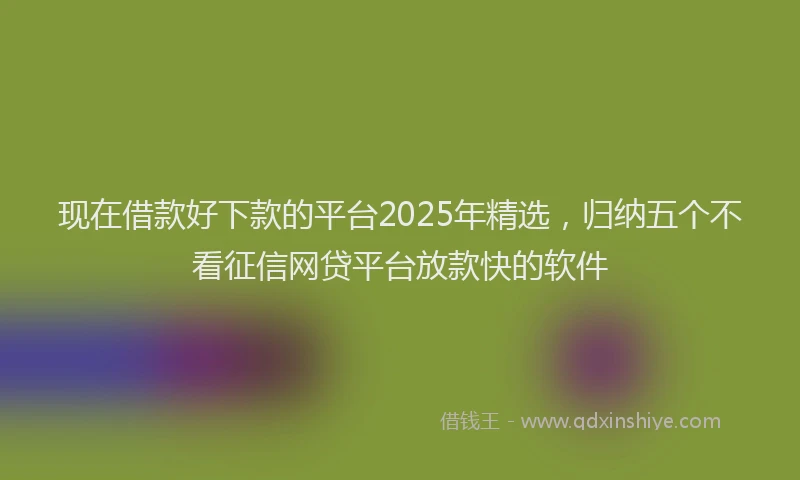 现在借款好下款的平台2025年精选，归纳五个不看征信网贷平台放款快的软件