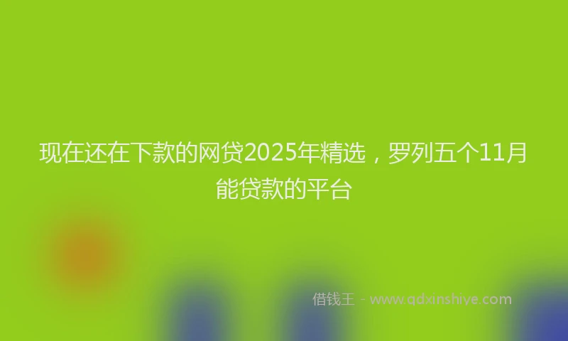 现在还在下款的网贷2025年精选，罗列五个11月能贷款的平台
