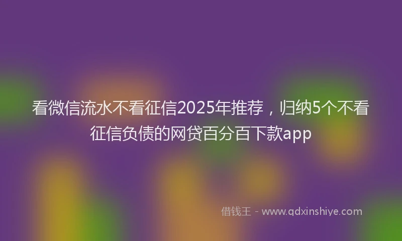 看微信流水不看征信2025年推荐，归纳5个不看征信负债的网贷百分百下款app