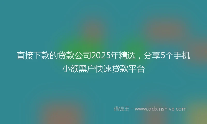 直接下款的贷款公司2025年精选，分享5个手机小额黑户快速贷款平台