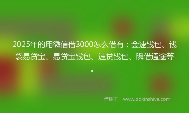 2025年的用微信借3000怎么借有：金速钱包、钱袋易贷宝、易贷宝钱包、速贷钱包、瞬借通途等。