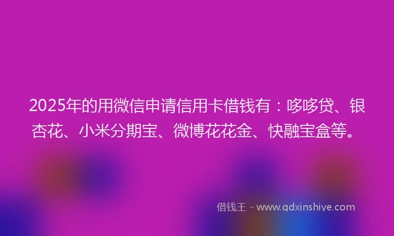 2025年的用微信申请信用卡借钱有：哆哆贷、银杏花、小米分期宝、微博花花金、快融宝盒等。