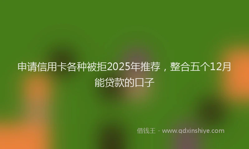申请信用卡各种被拒2025年推荐，整合五个12月能贷款的口子