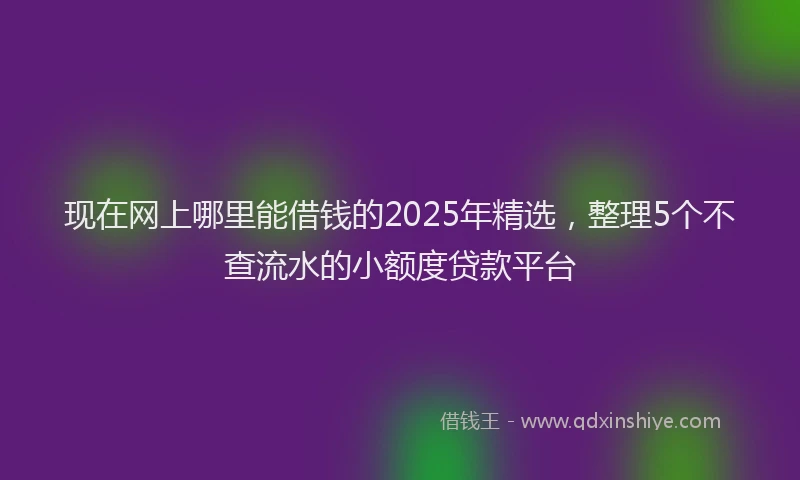 现在网上哪里能借钱的2025年精选，整理5个不查流水的小额度贷款平台