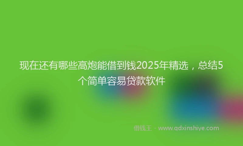 现在还有哪些高炮能借到钱2025年精选，总结5个简单容易贷款软件