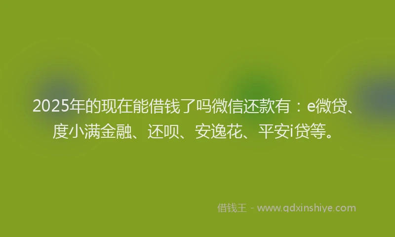 2025年的现在能借钱了吗微信还款有：e微贷、度小满金融、还呗、安逸花、平安i贷等。