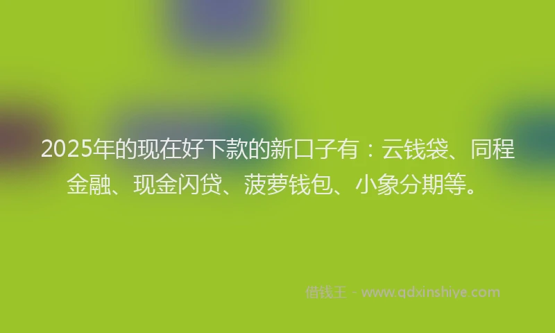 2025年的现在好下款的新口子有：云钱袋、同程金融、现金闪贷、菠萝钱包、小象分期等。