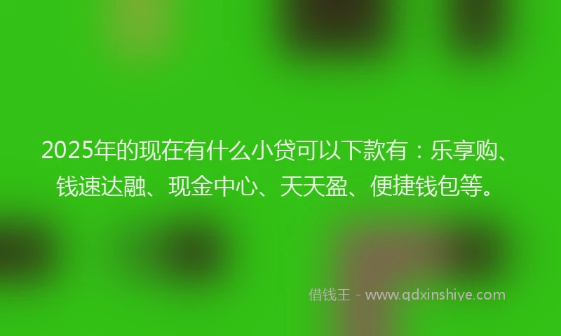 2025年的现在有什么小贷可以下款有：乐享购、钱速达融、现金中心、天天盈、便捷钱包等。
