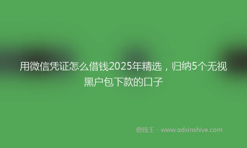 用微信凭证怎么借钱2025年精选，归纳5个无视黑户包下款的口子