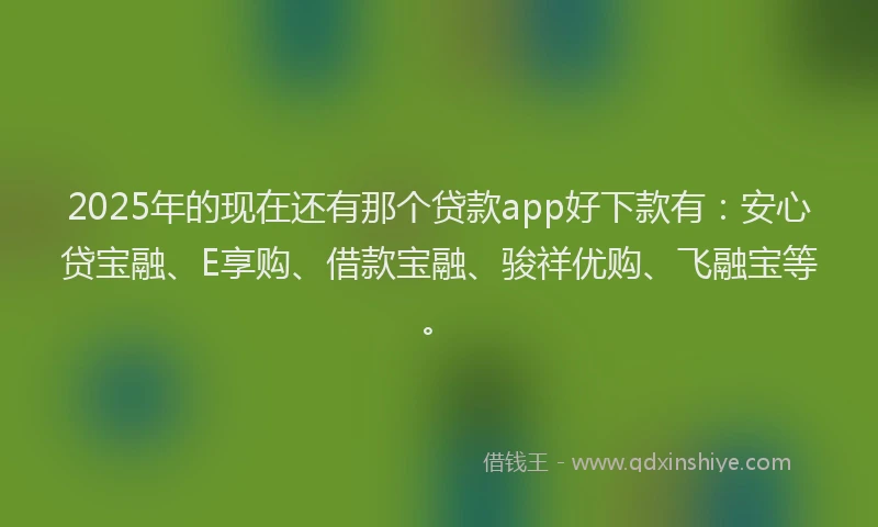 2025年的现在还有那个贷款app好下款有：安心贷宝融、E享购、借款宝融、骏祥优购、飞融宝等。