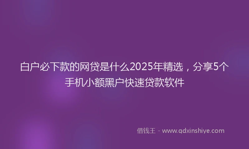 白户必下款的网贷是什么2025年精选，分享5个手机小额黑户快速贷款软件