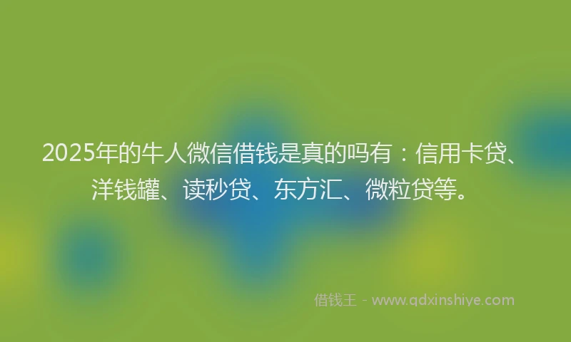 2025年的牛人微信借钱是真的吗有：信用卡贷、洋钱罐、读秒贷、东方汇、微粒贷等。