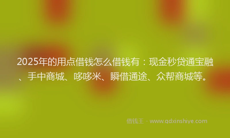 2025年的用点借钱怎么借钱有：现金秒贷通宝融、手中商城、哆哆米、瞬借通途、众帮商城等。