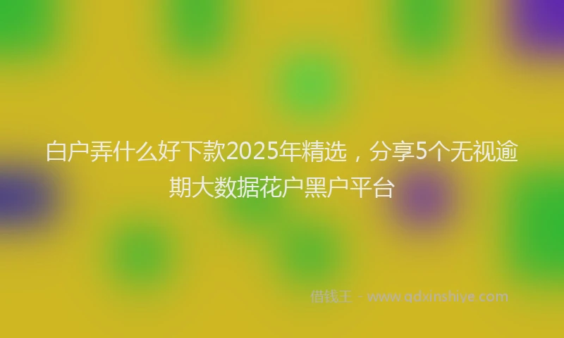 白户弄什么好下款2025年精选，分享5个无视逾期大数据花户黑户平台