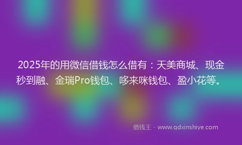 2025年的用微信借钱怎么借有：天美商城、现金秒到融、金瑞Pro钱包、哆来咪钱包、盈小花等。