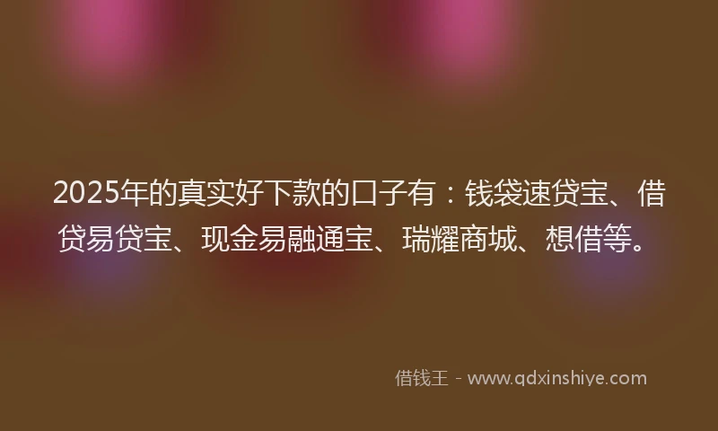 2025年的真实好下款的口子有：钱袋速贷宝、借贷易贷宝、现金易融通宝、瑞耀商城、想借等。