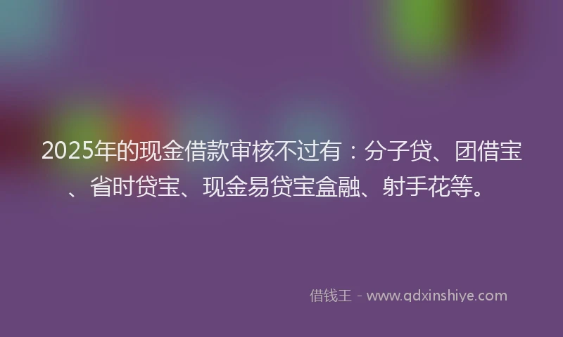 2025年的现金借款审核不过有：分子贷、团借宝、省时贷宝、现金易贷宝盒融、射手花等。