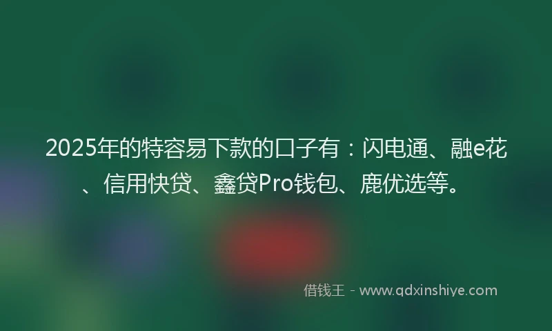2025年的特容易下款的口子有：闪电通、融e花、信用快贷、鑫贷Pro钱包、鹿优选等。