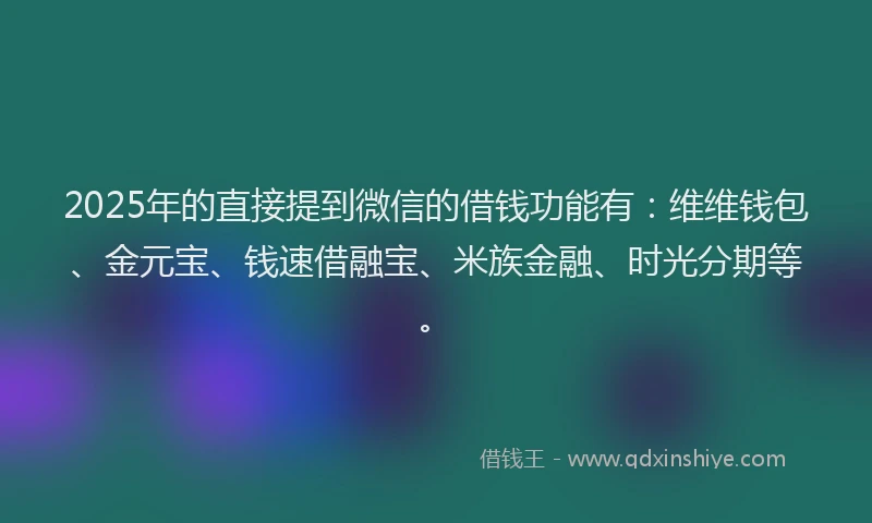 2025年的直接提到微信的借钱功能有：维维钱包、金元宝、钱速借融宝、米族金融、时光分期等。