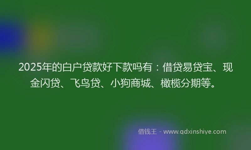 2025年的白户贷款好下款吗有：借贷易贷宝、现金闪贷、飞鸟贷、小狗商城、橄榄分期等。