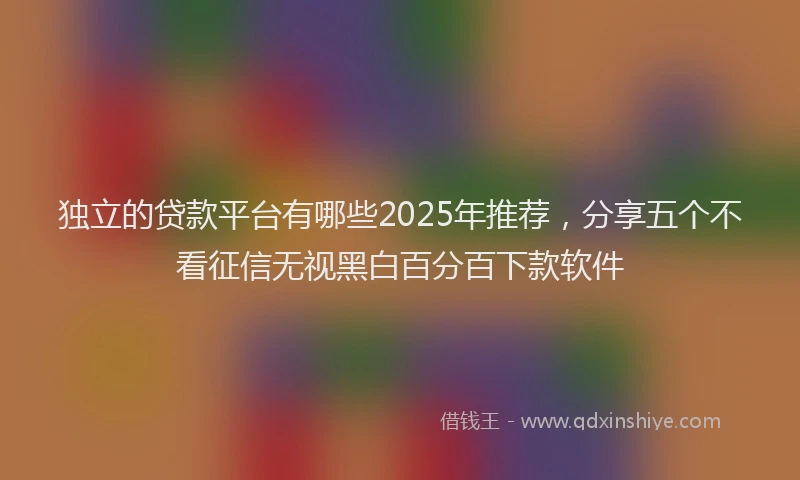 独立的贷款平台有哪些2025年推荐，分享五个不看征信无视黑白百分百下款软件
