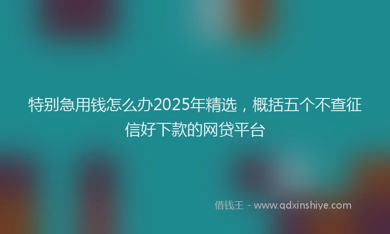 特别急用钱怎么办2025年精选，概括五个不查征信好下款的网贷平台