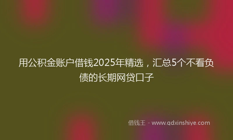 用公积金账户借钱2025年精选，汇总5个不看负债的长期网贷口子