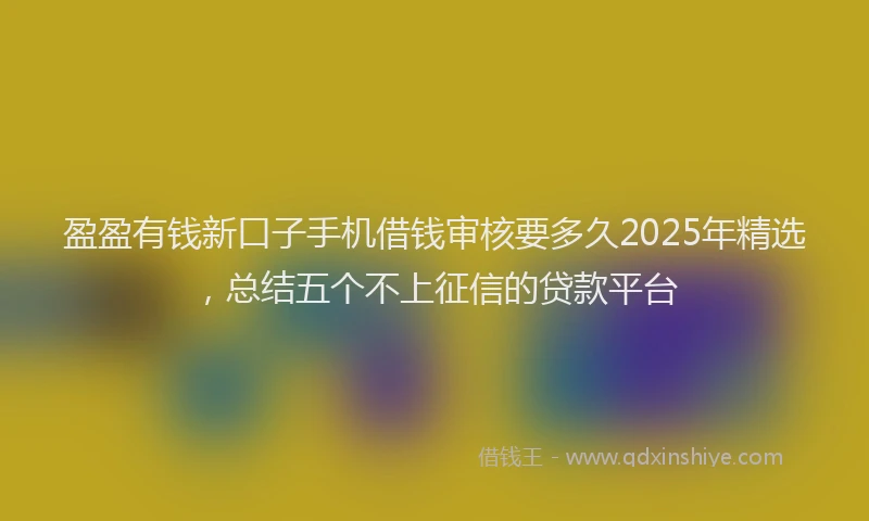 盈盈有钱新口子手机借钱审核要多久2025年精选，总结五个不上征信的贷款平台
