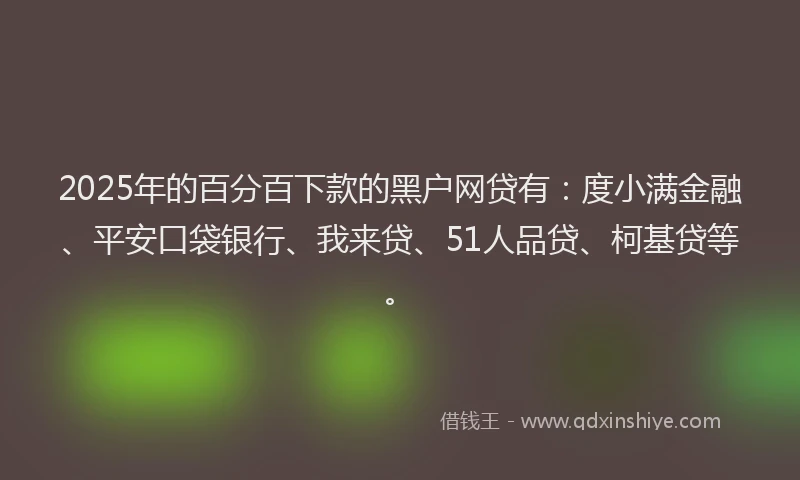 2025年的百分百下款的黑户网贷有：度小满金融、平安口袋银行、我来贷、51人品贷、柯基贷等。