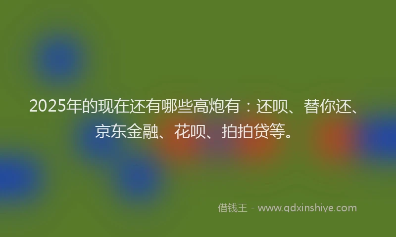 2025年的现在还有哪些高炮有：还呗、替你还、京东金融、花呗、拍拍贷等。