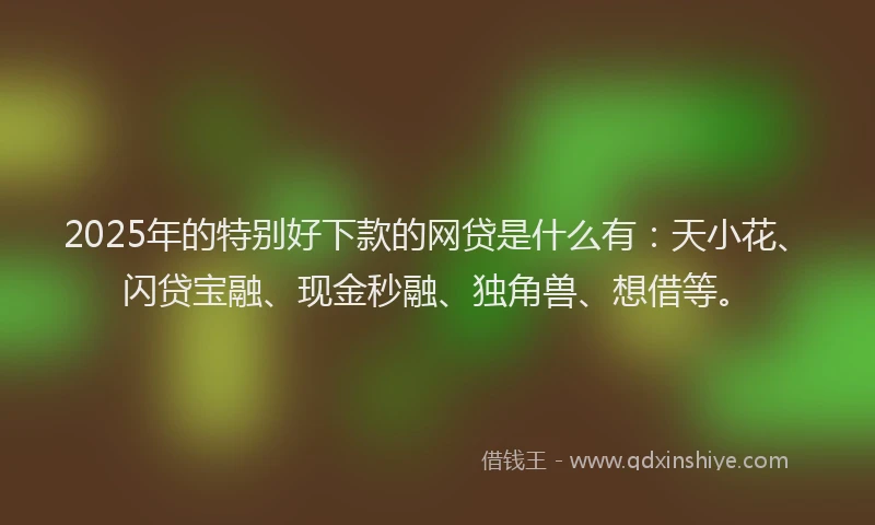 2025年的特别好下款的网贷是什么有：天小花、闪贷宝融、现金秒融、独角兽、想借等。