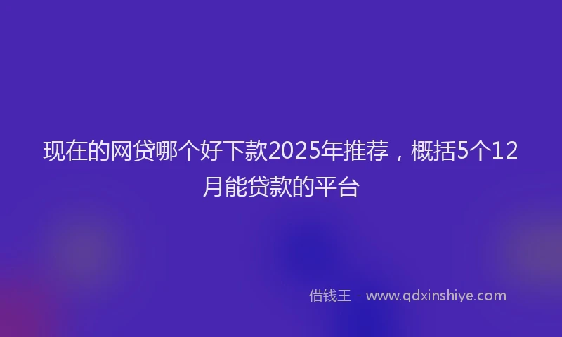 现在的网贷哪个好下款2025年推荐，概括5个12月能贷款的平台