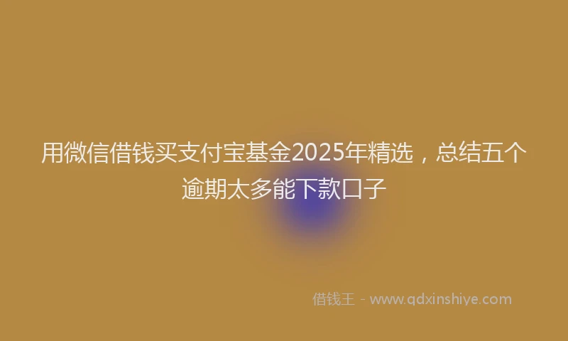 用微信借钱买支付宝基金2025年精选，总结五个逾期太多能下款口子