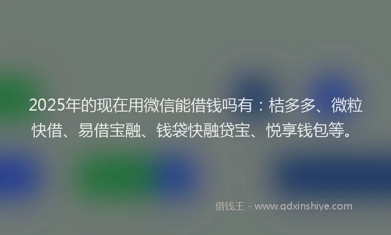 2025年的现在用微信能借钱吗有：桔多多、微粒快借、易借宝融、钱袋快融贷宝、悦享钱包等。