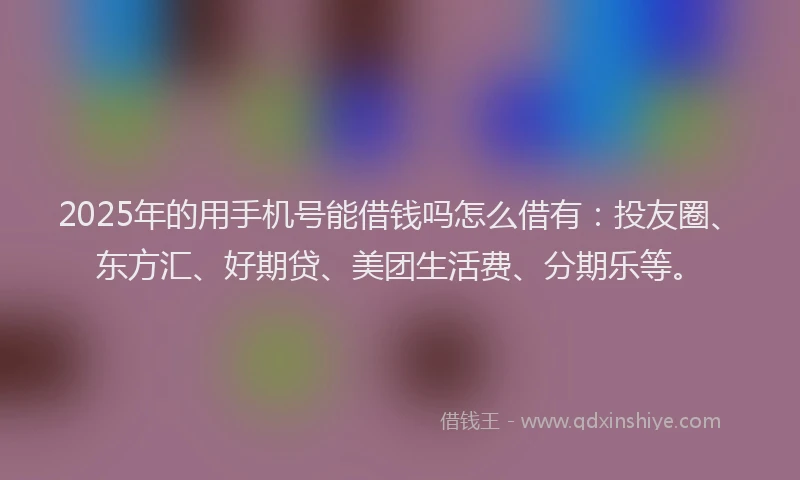 2025年的用手机号能借钱吗怎么借有：投友圈、东方汇、好期贷、美团生活费、分期乐等。