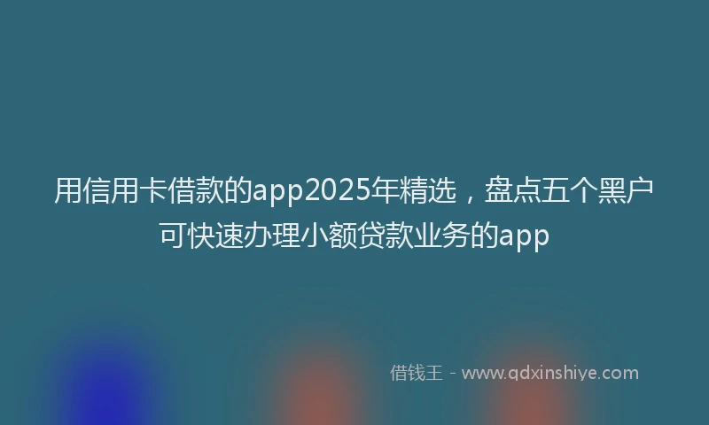 用信用卡借款的app2025年精选，盘点五个黑户可快速办理小额贷款业务的app