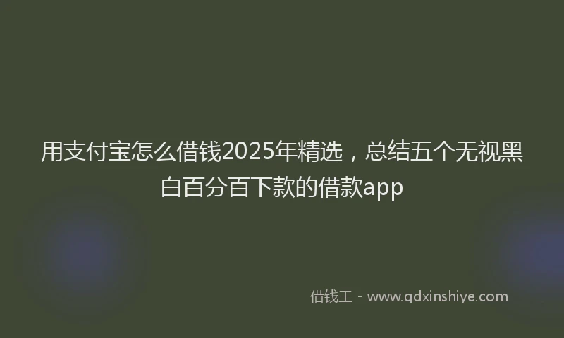 用支付宝怎么借钱2025年精选，总结五个无视黑白百分百下款的借款app