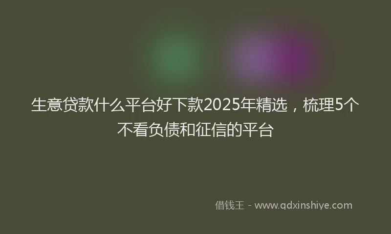 生意贷款什么平台好下款2025年精选，梳理5个不看负债和征信的平台