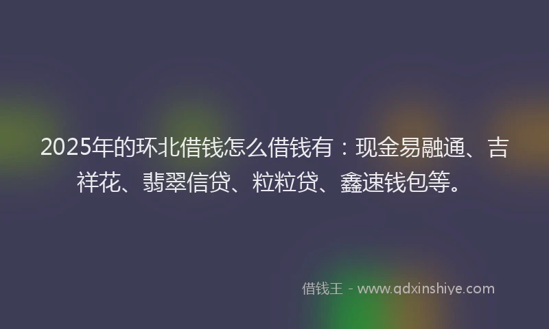 2025年的环北借钱怎么借钱有：现金易融通、吉祥花、翡翠信贷、粒粒贷、鑫速钱包等。