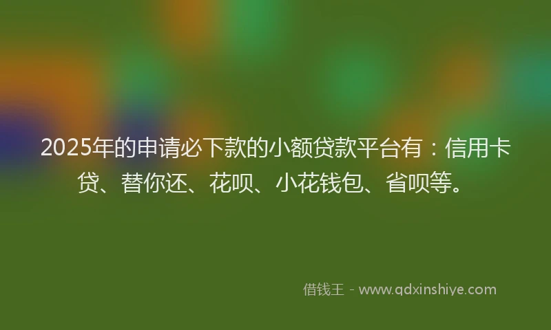 2025年的申请必下款的小额贷款平台有：信用卡贷、替你还、花呗、小花钱包、省呗等。
