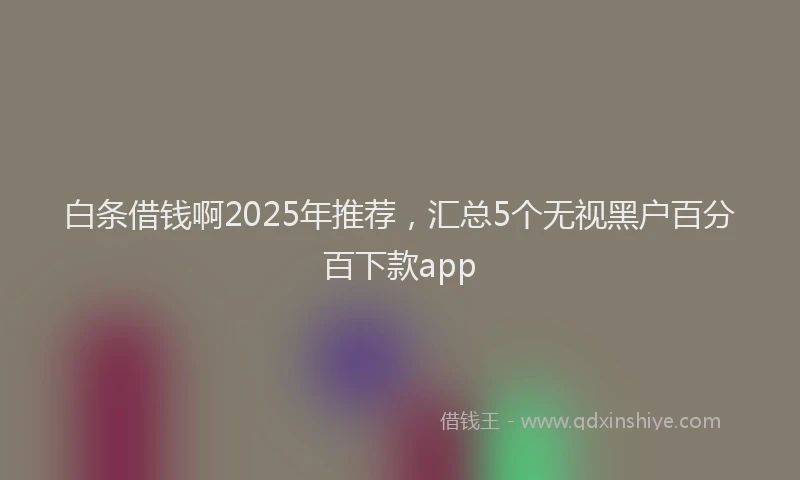 白条借钱啊2025年推荐，汇总5个无视黑户百分百下款app