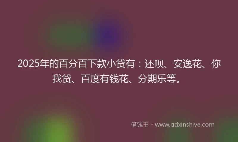 2025年的百分百下款小贷有：还呗、安逸花、你我贷、百度有钱花、分期乐等。