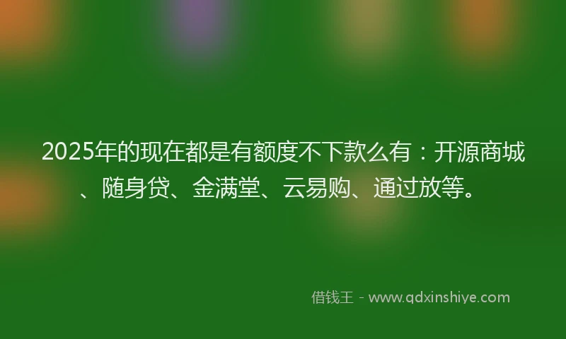 2025年的现在都是有额度不下款么有：开源商城、随身贷、金满堂、云易购、通过放等。