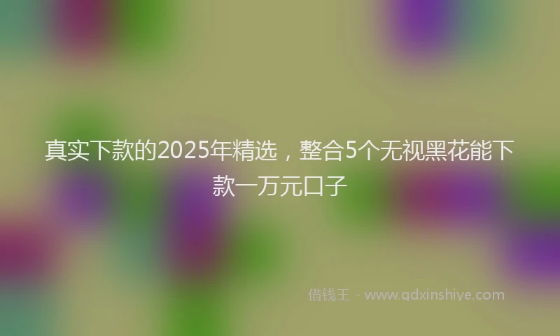 真实下款的2025年精选，整合5个无视黑花能下款一万元口子