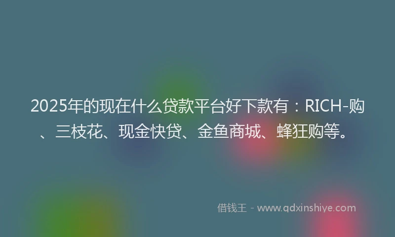 2025年的现在什么贷款平台好下款有：RICH-购、三枝花、现金快贷、金鱼商城、蜂狂购等。