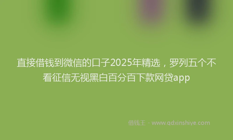 直接借钱到微信的口子2025年精选，罗列五个不看征信无视黑白百分百下款网贷app