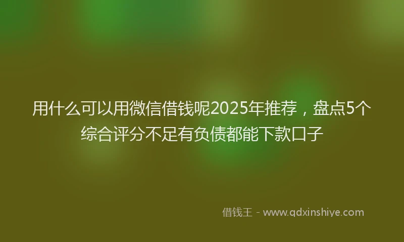 用什么可以用微信借钱呢2025年推荐，盘点5个综合评分不足有负债都能下款口子