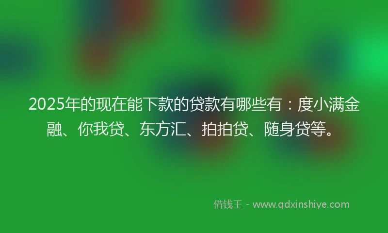 2025年的现在能下款的贷款有哪些有：度小满金融、你我贷、东方汇、拍拍贷、随身贷等。